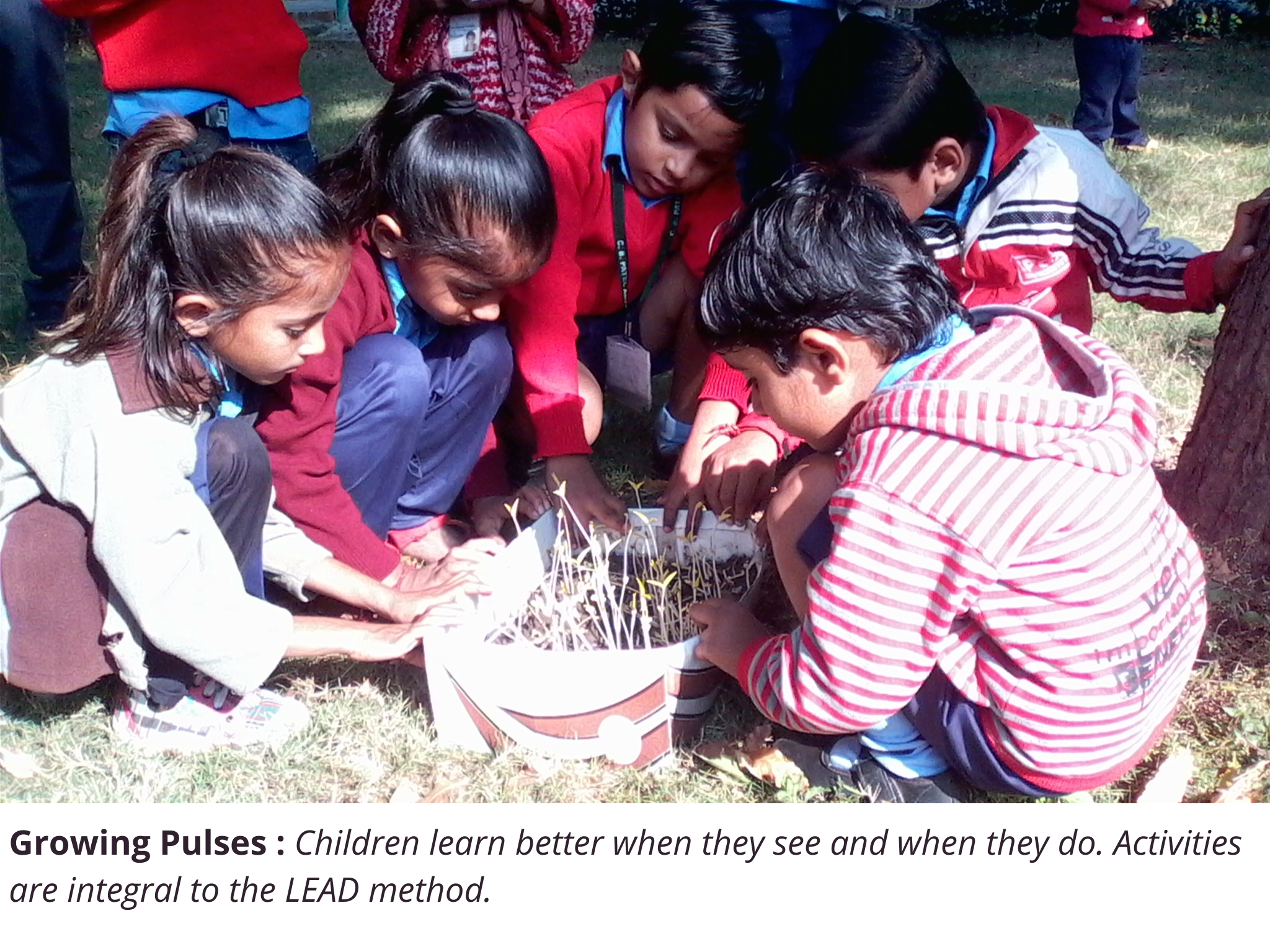 Children learn activities